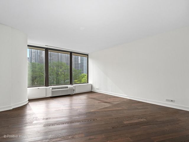 505 N Lake Shore Drive 501, Chicago, IL 60611