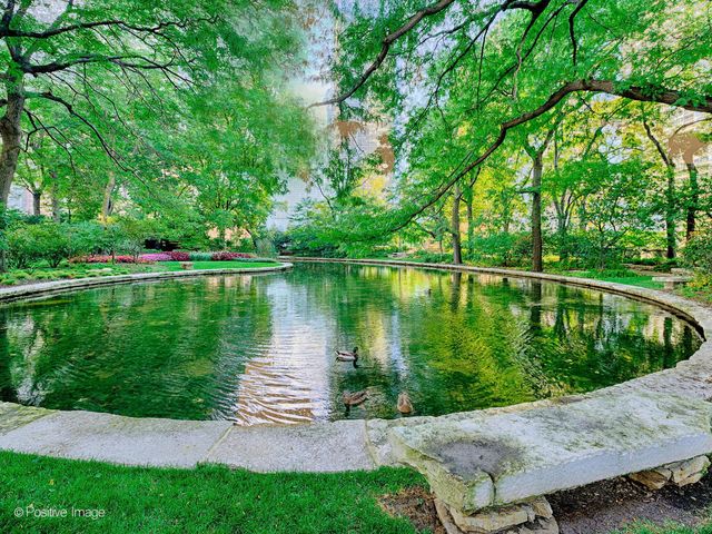 505 N Lake Shore Drive 501, Chicago, IL 60611