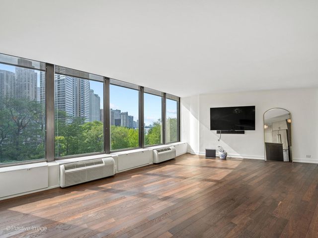 505 N Lake Shore Drive 501, Chicago, IL 60611