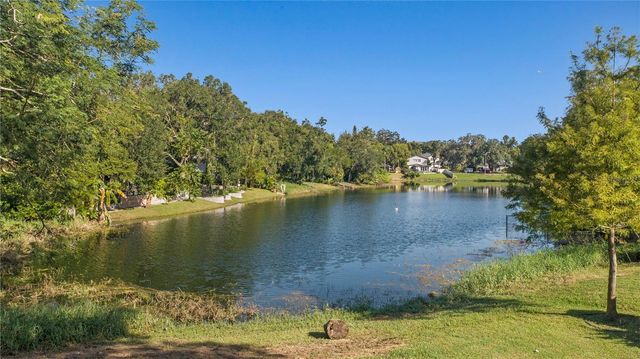 1215 DELANEY PARK DRIVE, Orlando, FL 32806
