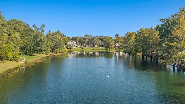 1215 DELANEY PARK DRIVE, Orlando, FL 32806