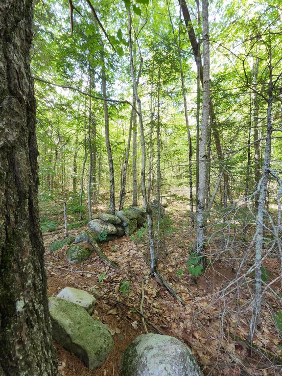 TBD Bridgton Road, Sebago, ME 04029 — exterior