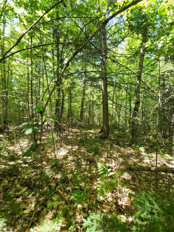 TBD Bridgton Road, Sebago, ME 04029 — photo 2