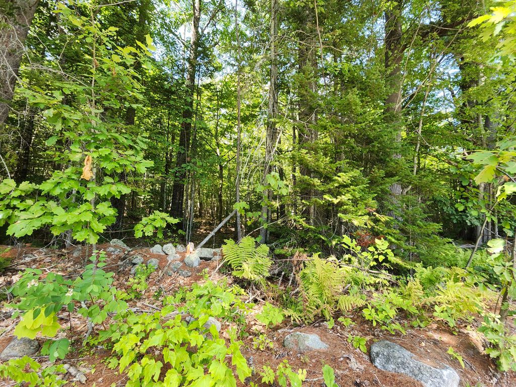 TBD Bridgton Road, Sebago, ME 04029 — photo 3