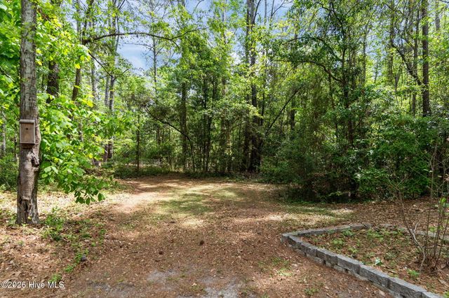 10224 Timber Ridge Court SE, Leland, NC 28451