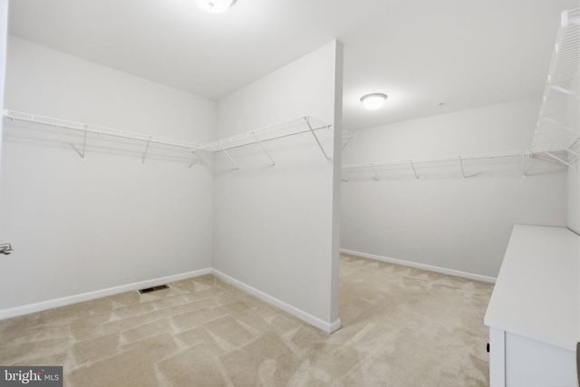 1317 CRAMPTON PL, Brunswick, MD 21716