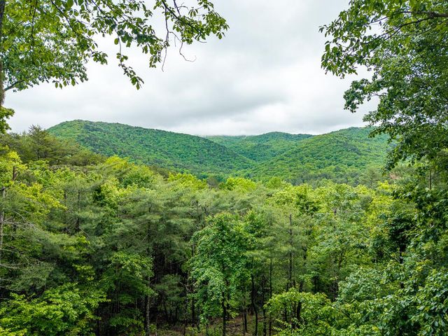 399 Laurel Mountain Road, Blue Ridge, GA 30513
