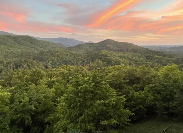 399 Laurel Mountain Road, Blue Ridge, GA 30513