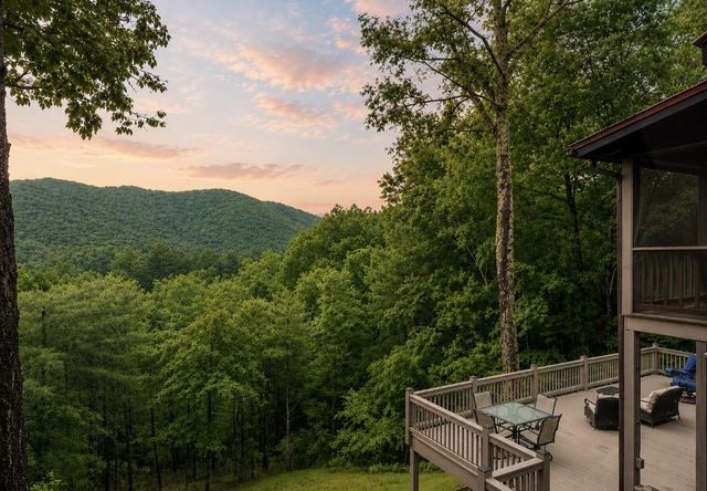 399 Laurel Mountain Road, Blue Ridge, GA 30513
