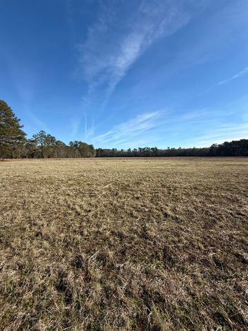 Lot 4 Johnson Shelley Rd., Conway, SC 29526