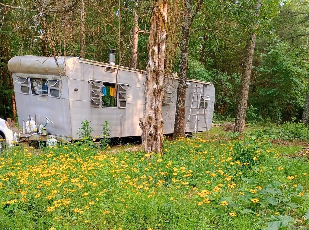 313 Bobbits Lane, Clinton, AR 72031