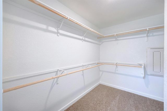 2301 Wallin Bradley DR, Round Rock, TX 78665