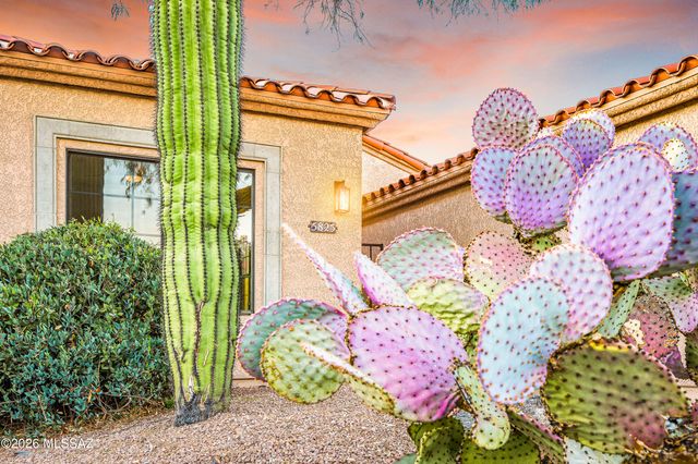 5825 N Misty Ridge Drive, Tucson, AZ 85718