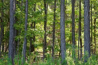 0 Felix Road, Nathalie, VA 24577