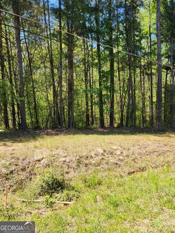 674 Lower River Road, Covington, GA 30016