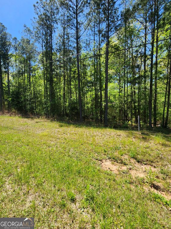 674 Lower River Road, Covington, GA 30016