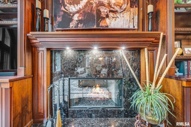 12925 N Woodland Ridge Drive, Dunlap, IL 61525
