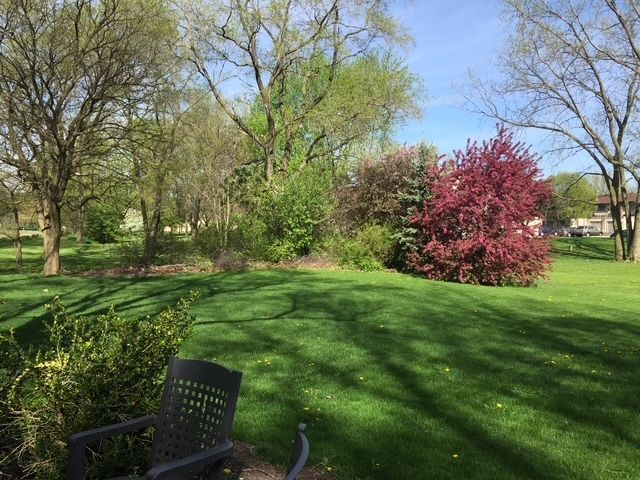 997 S Hampton Court, Aurora, IL 60506