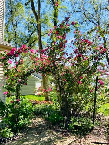 997 S Hampton Court, Aurora, IL 60506