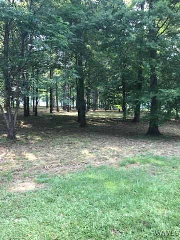 13 Cypress Point, Akron, AL 35441