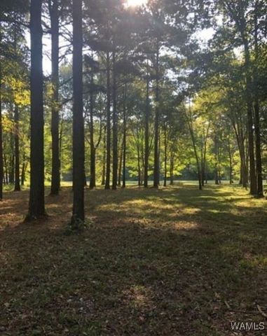 13 Cypress Point, Akron, AL 35441