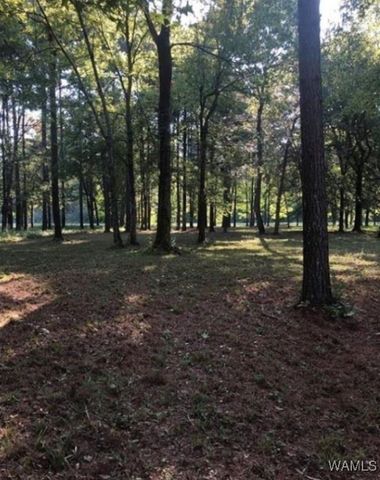 13 Cypress Point, Akron, AL 35441