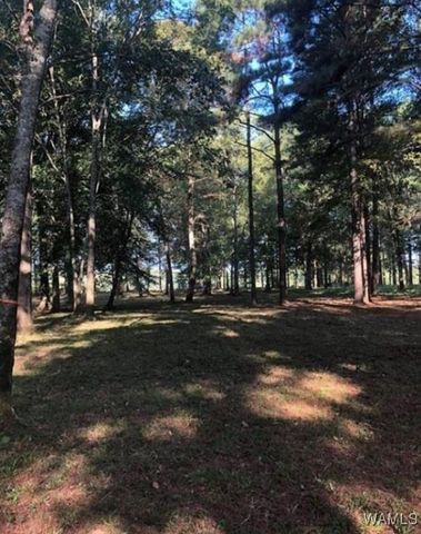 13 Cypress Point, Akron, AL 35441