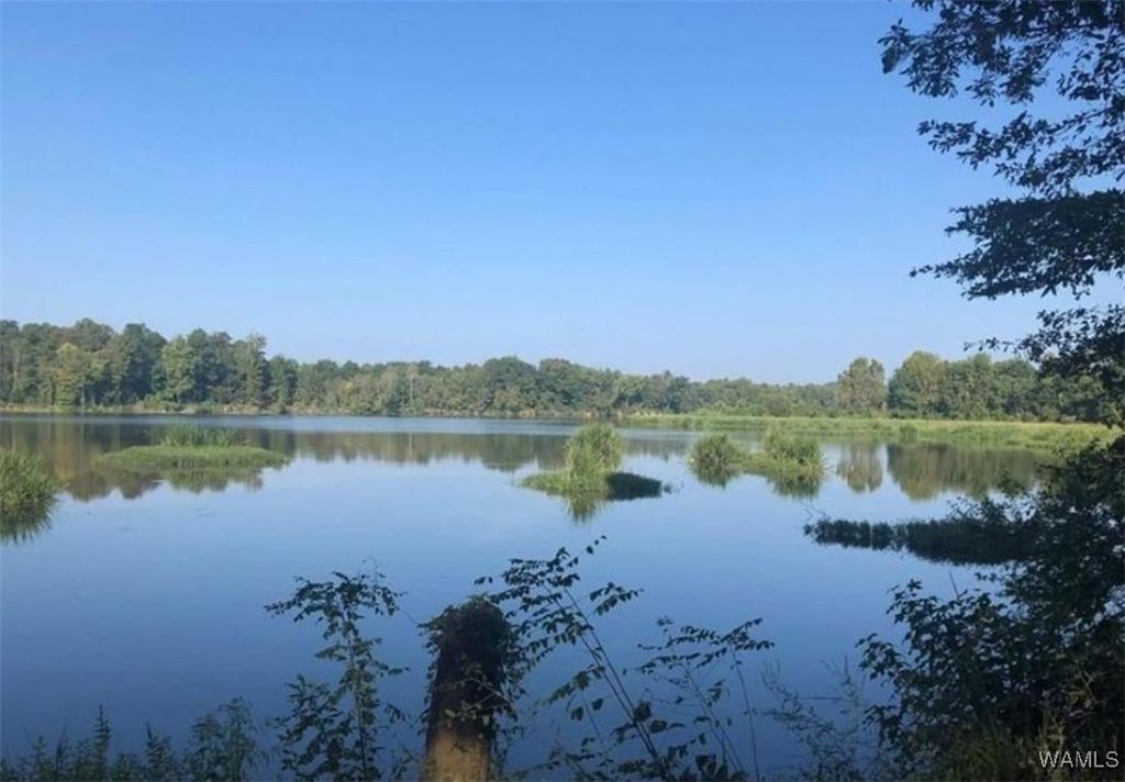 13 Cypress Point, Akron, AL 35441