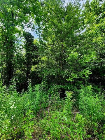 0 River Road 26, Decatur, TN 37322