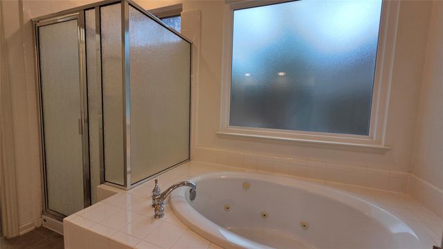 46 Dalea Place, The Woodlands, TX 77382