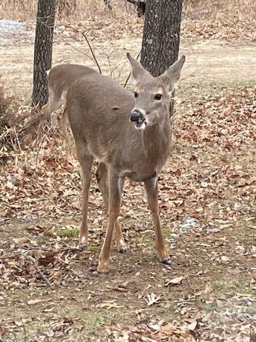 2111 ROCK QUARRY RD, Columbia, MO 65201