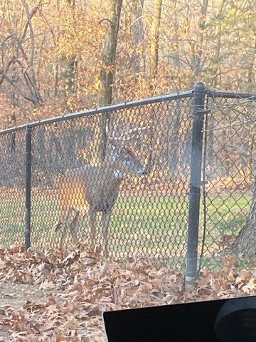 2111 ROCK QUARRY RD, Columbia, MO 65201