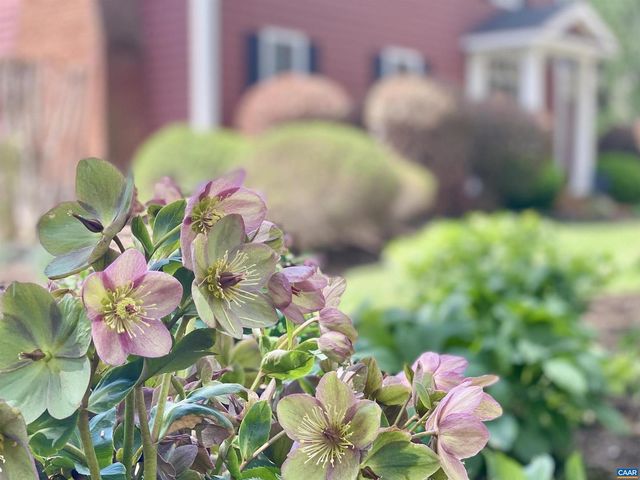 2629 WARWICK PL, Earlysville, VA 22936