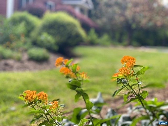 2629 WARWICK PL, Earlysville, VA 22936