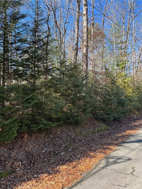 686 W Cove Drive, Mountain Rest, SC 29664