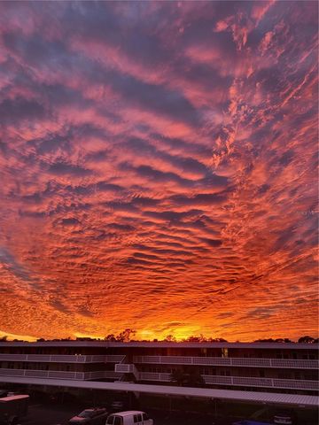 4895 BAY STREET NE 212, St Petersburg, FL 33703