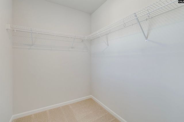 15 Ozark Drive, Columbia, SC 29223