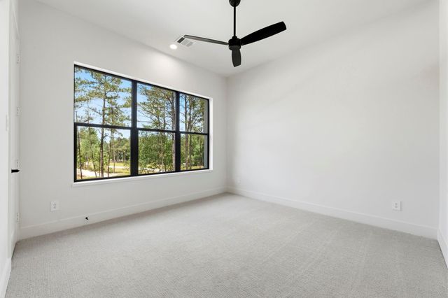 25053 Seguin Trail, Montgomery, TX 77316