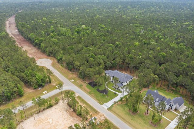 25053 Seguin Trail, Montgomery, TX 77316