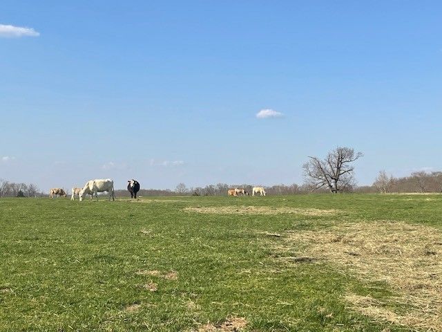 17273 London Road, Garfield, AR 72732