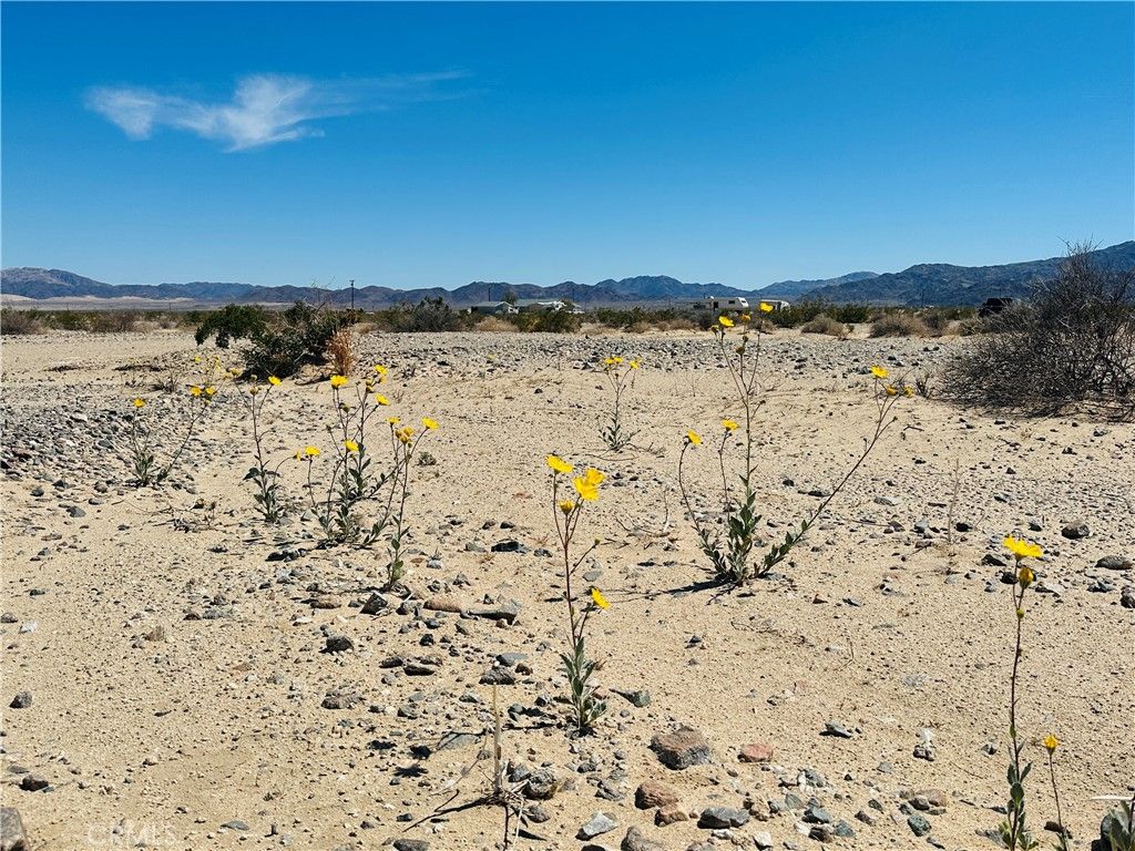 0 Stormy Road, 29 Palms, CA 92277
