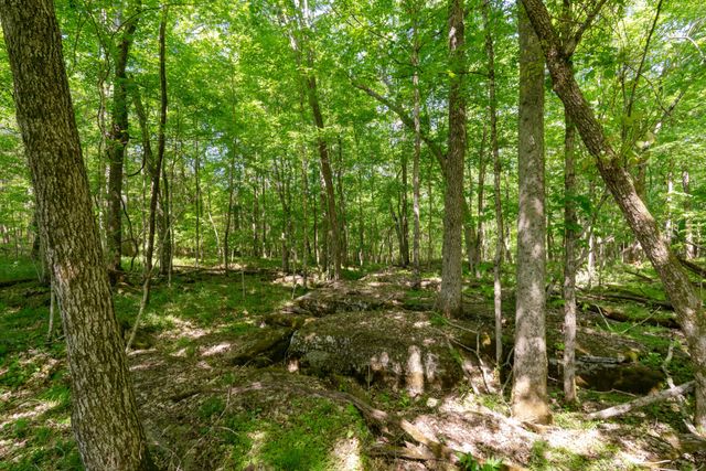 3680 Clark Rd, Lewisburg, TN 37091