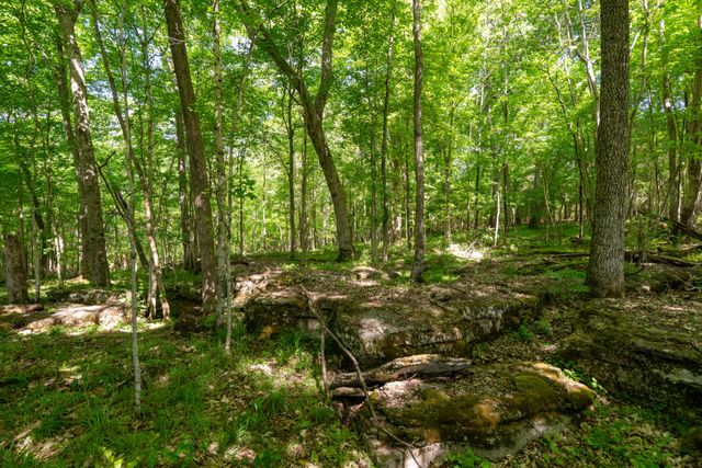 3680 Clark Rd, Lewisburg, TN 37091