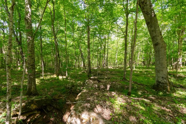 3680 Clark Rd, Lewisburg, TN 37091