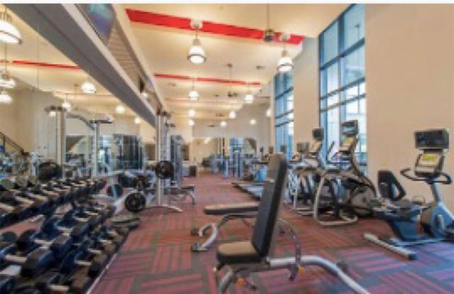 2033 S Gessner Road 4411, Houston, TX 77063