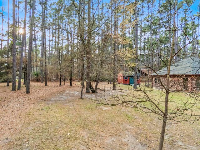 161 Pine Branch Glen, Holly Lake Ranch, TX 75765