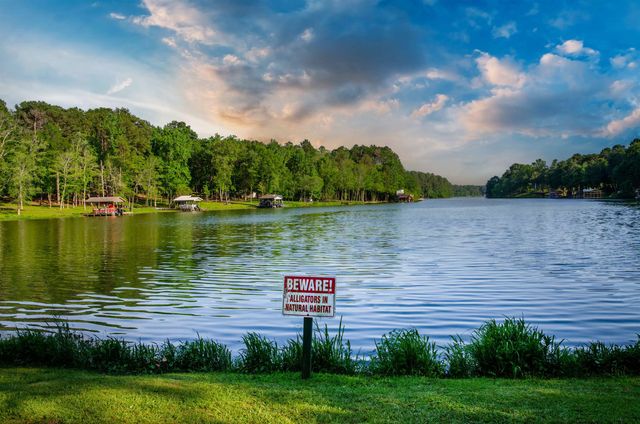 161 Pine Branch Glen, Holly Lake Ranch, TX 75765