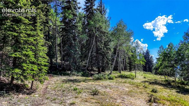 282 Fairview Drive, Cripple Creek, CO 80813