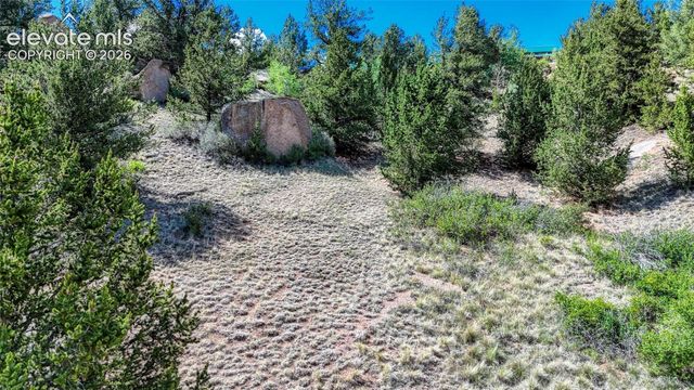282 Fairview Drive, Cripple Creek, CO 80813