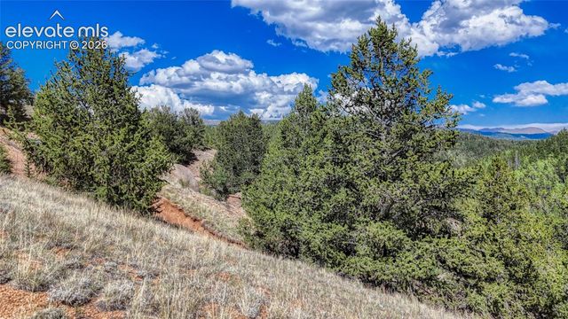 282 Fairview Drive, Cripple Creek, CO 80813